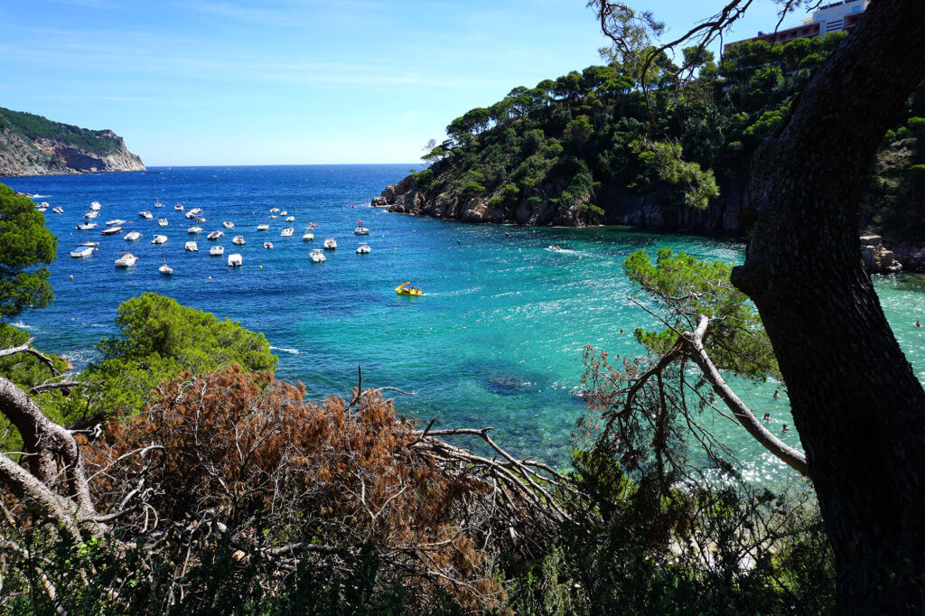 Vistas de la Cala d'Aiguablava en Begur