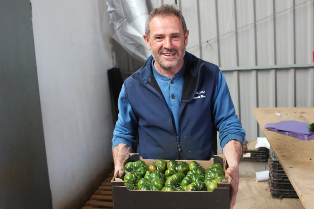 Angel Capel Mar de Plastico