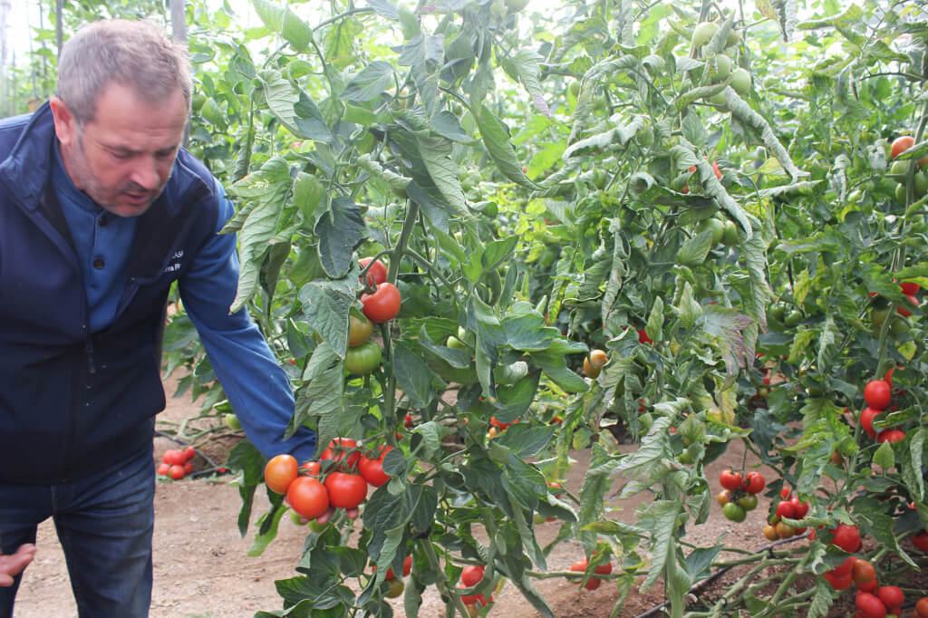 Angel Mar de Plastico