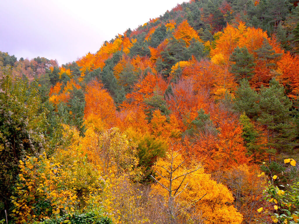 Castellar de nHug MONTGRONY