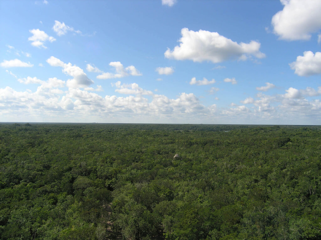 Cobá
