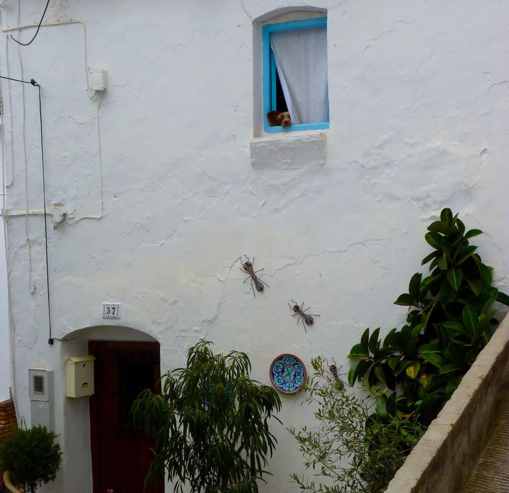 Competa ventana