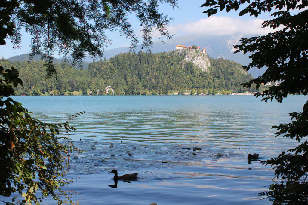 eslovenia-bled-castillo