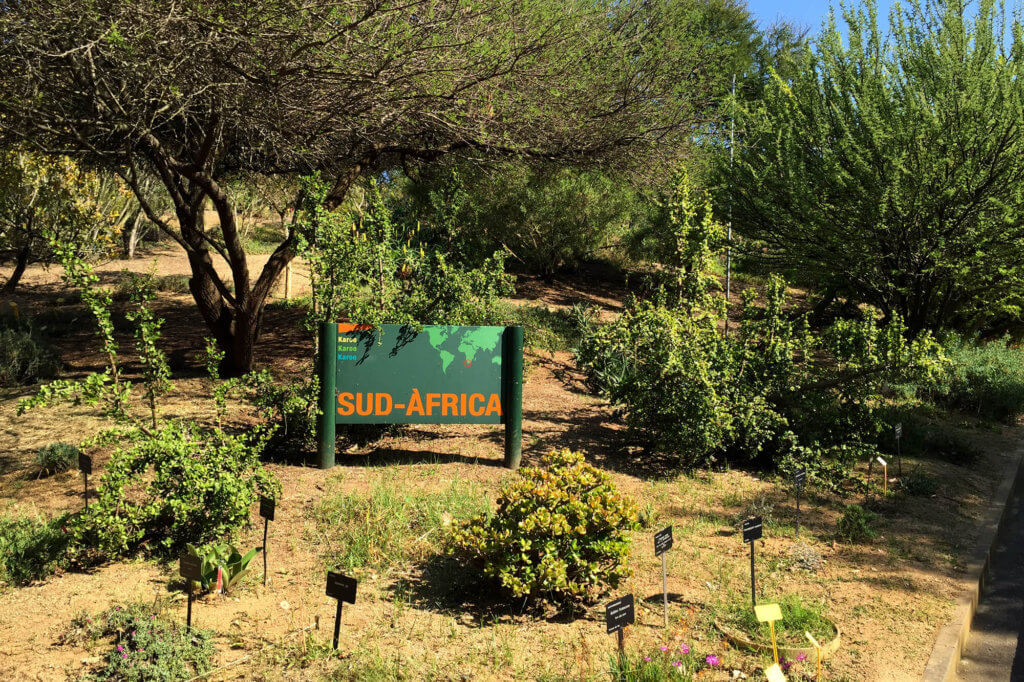 Jardín Botánico para la vuelta al mundo sin salir de Barcelona