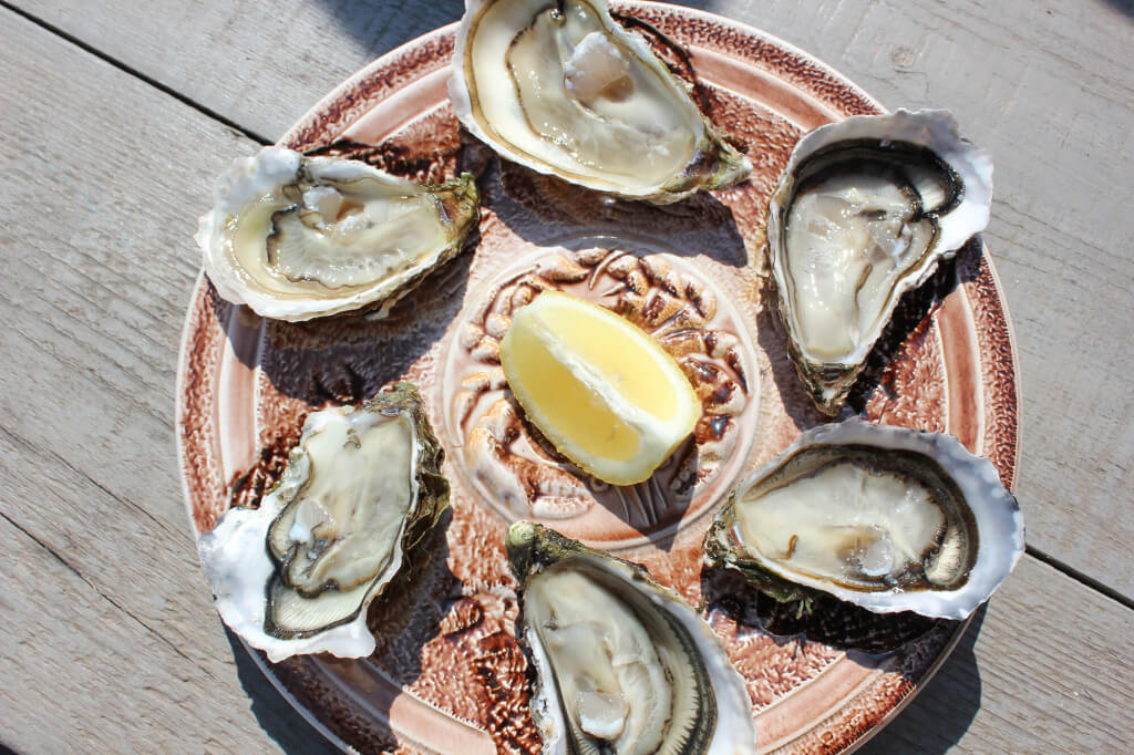 Marseillan ostras cata
