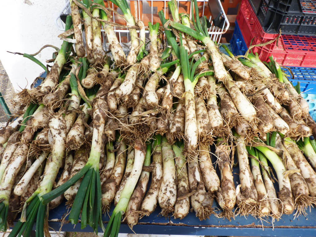 Parrilla de calçots