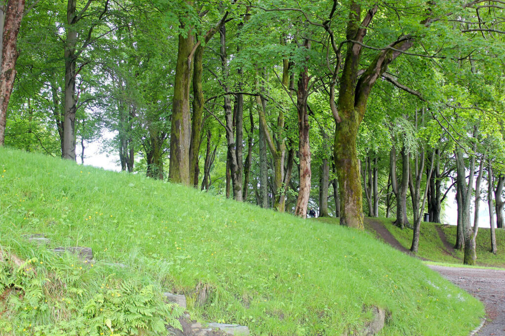 Parque Nordnes bosque