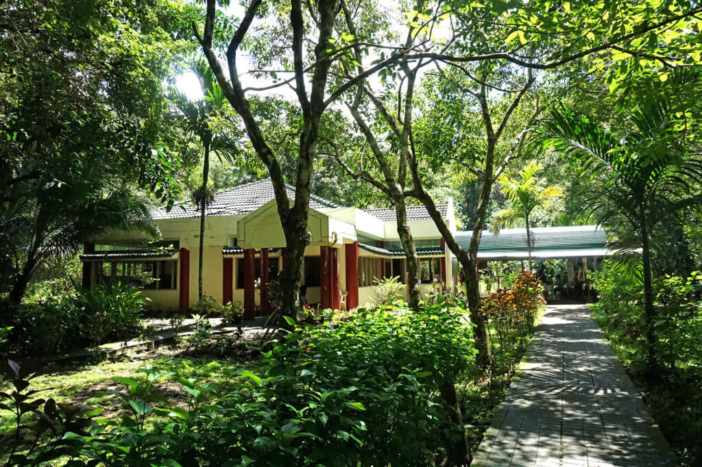 Philippine Tarsier Sanctuary en Corella