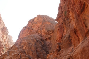 SIQ ojo de águila 2