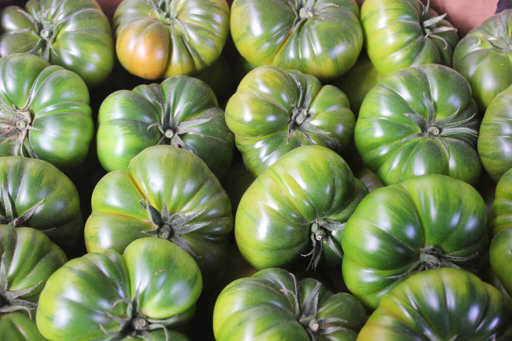 Tomates raf Mar de Plástico