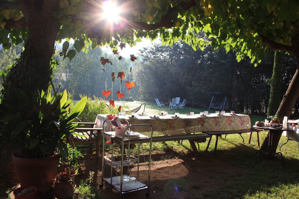 Decoracion otoñal en el Montseny