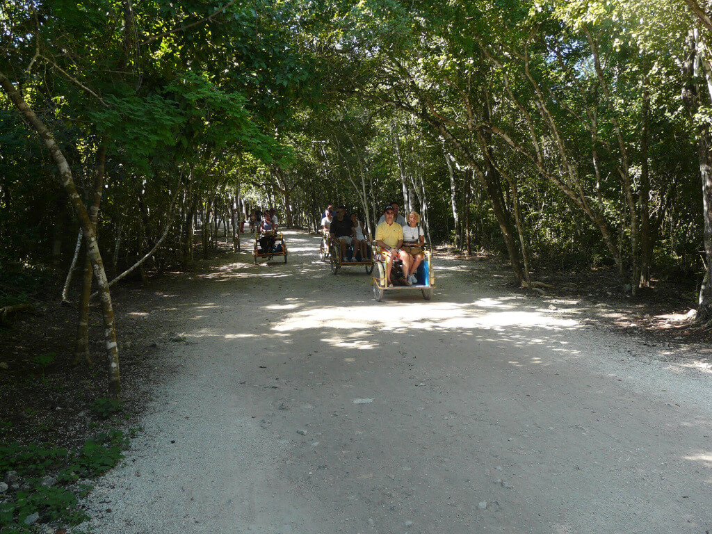 Paseo en bici por la selva